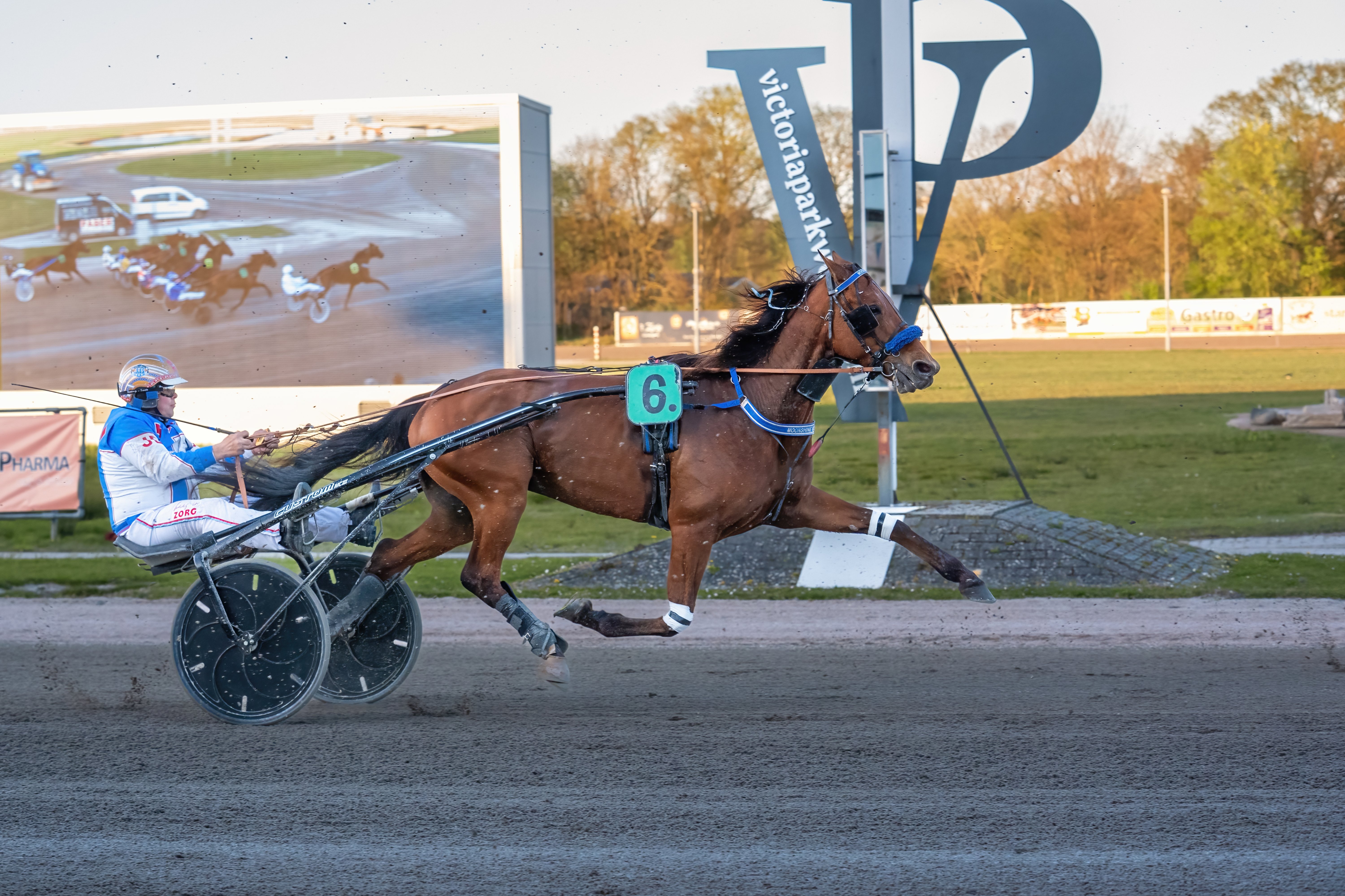 Transponders vs Photo-Finish Cameras in Horse Racing