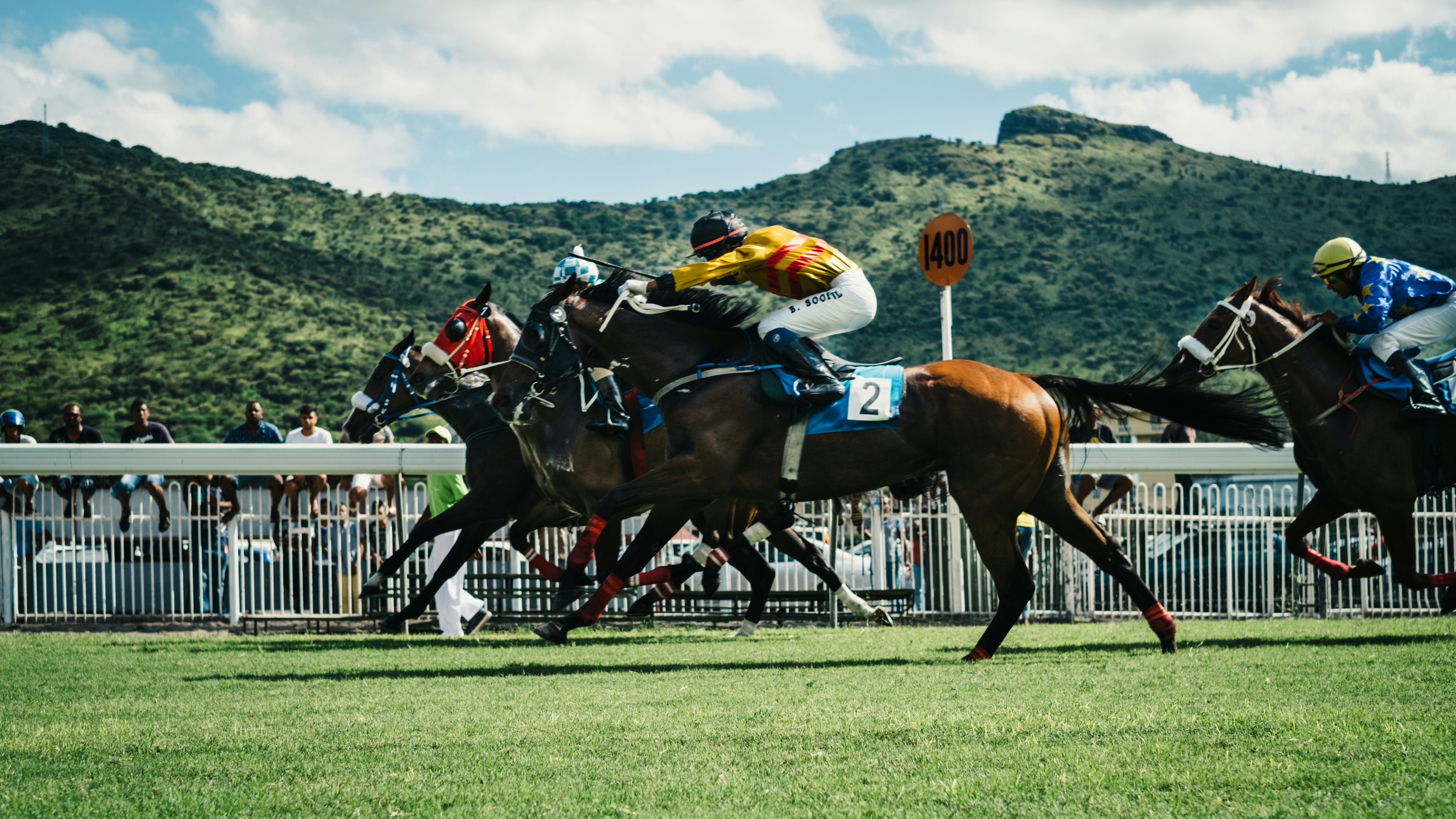 How Chip Timing Is Used In Horse Racing